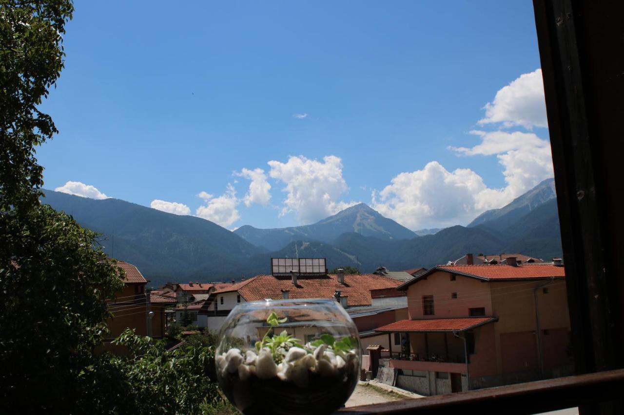 North Star Hotel Bansko Luaran gambar