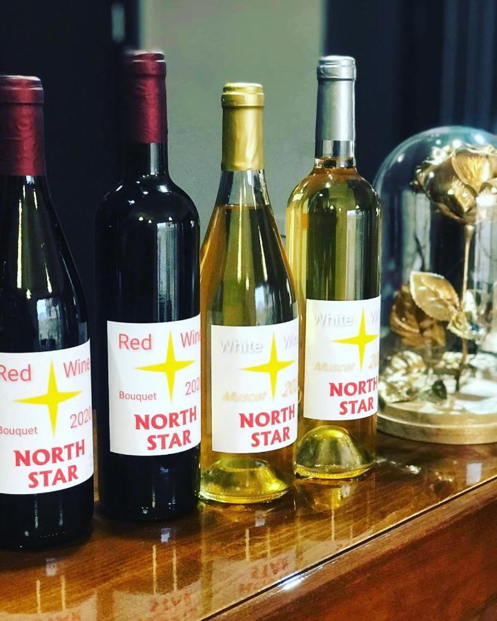 North Star Hotel Bansko Luaran gambar